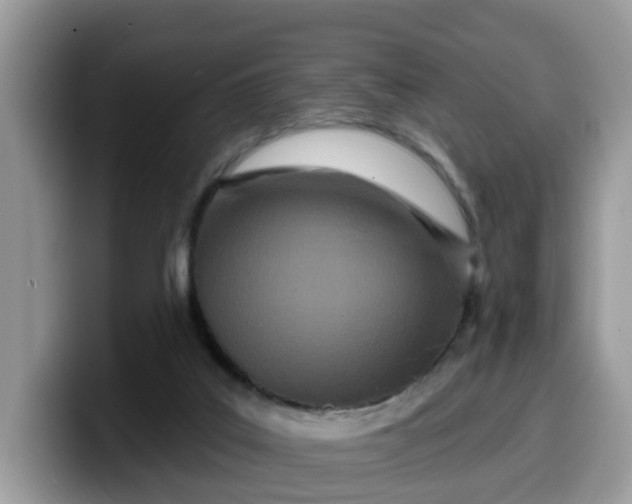 X0000099580019200805301608