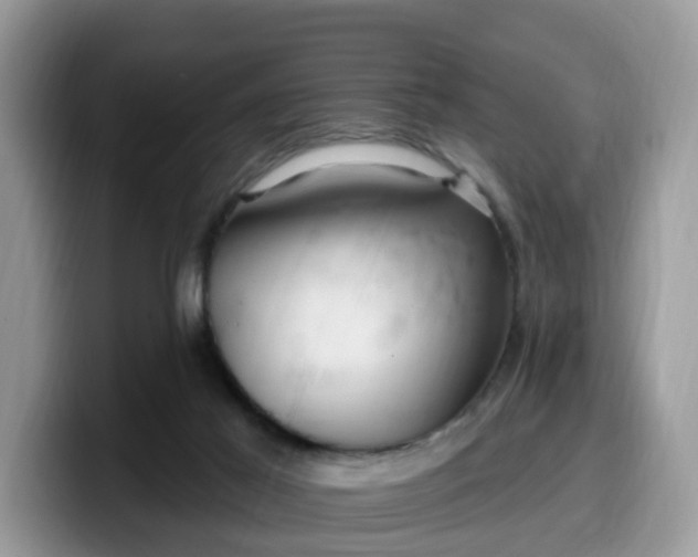 X0000099580021200805301608