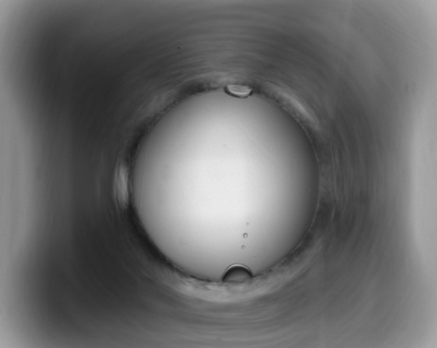 X0000099580022200805301608