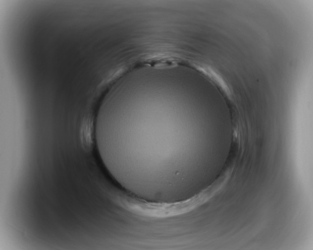 X0000099580023200805301608