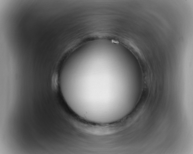 X0000099580024200805301608