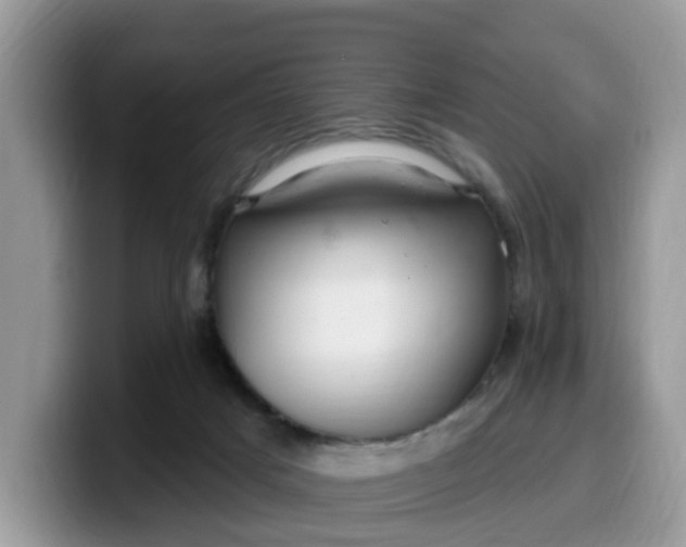 X0000099580025200805301608