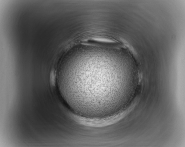 X0000099580026200805301608