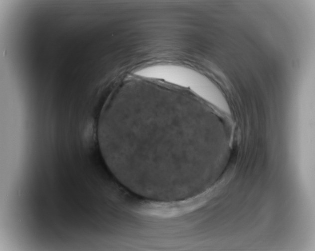 X0000099580029200805301608