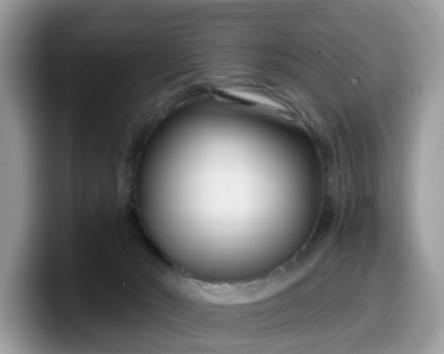 X0000099580030200805301608