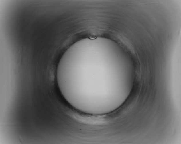 X0000099580032200805301608