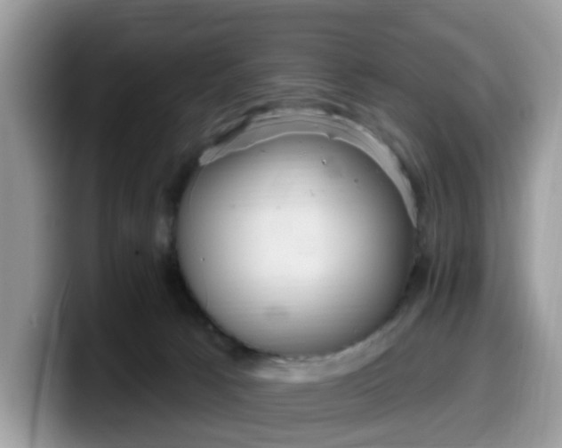 X0000099580033200805301608