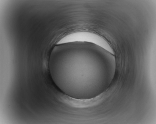 X0000099580035200805301608