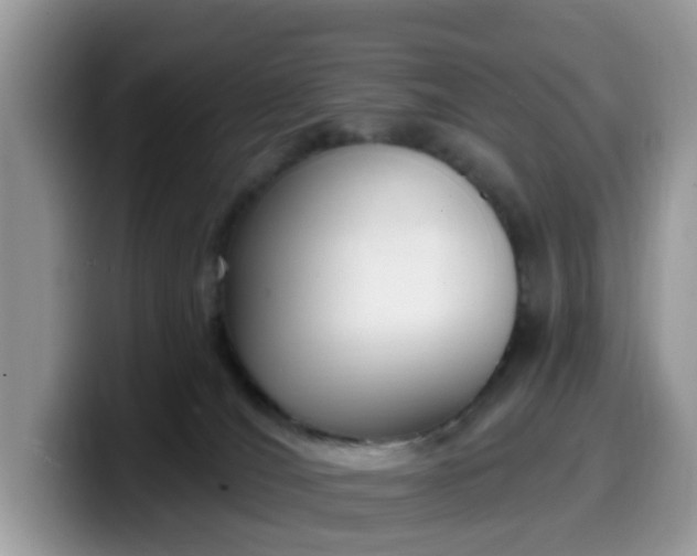 X0000099580036200805301608