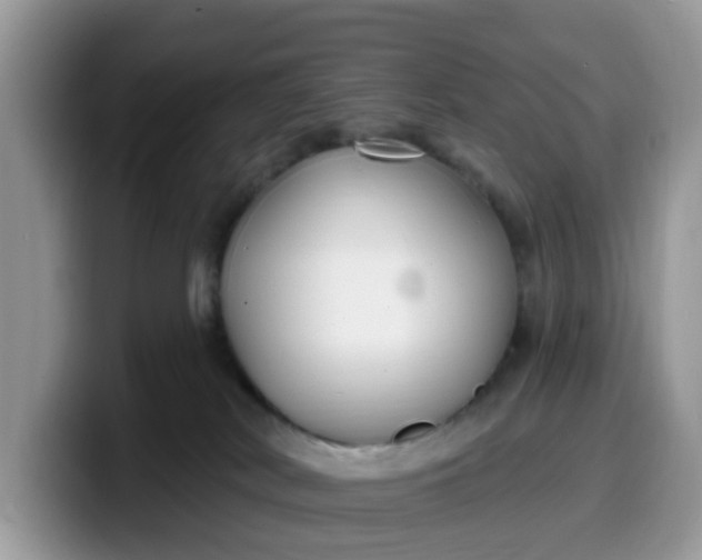 X0000099580038200805301608