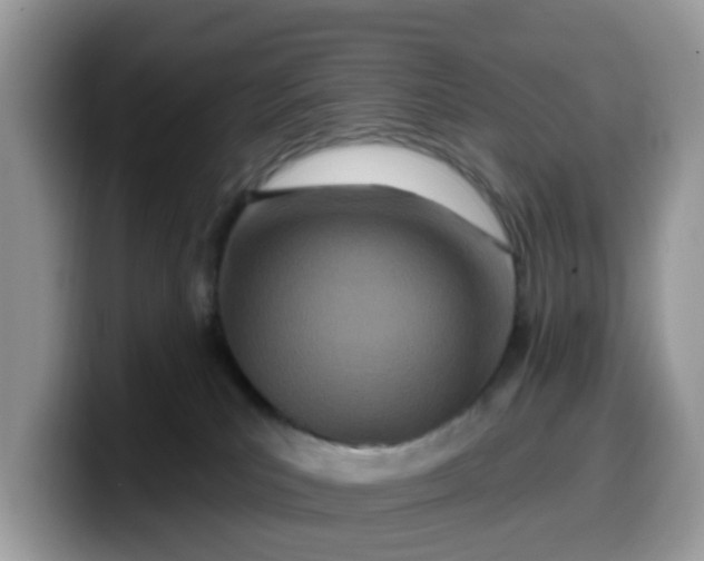 X0000099580039200805301608