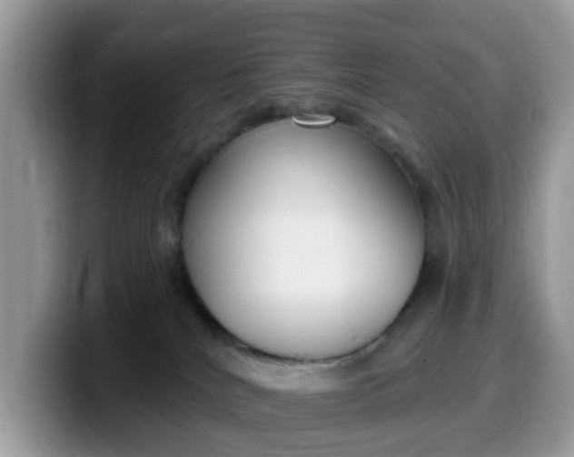 X0000099580040200805301608