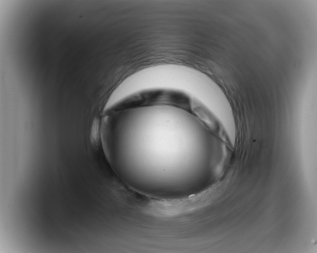 X0000099580041200805301608