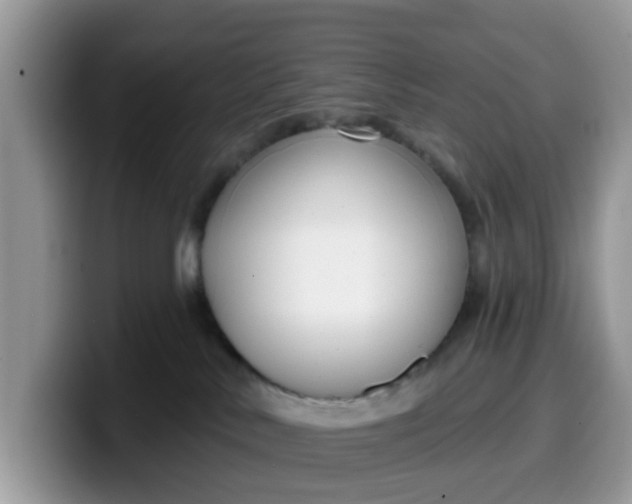 X0000099580042200805301608