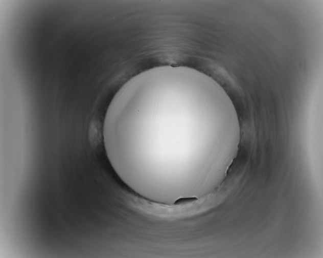 X0000099580043200805301608