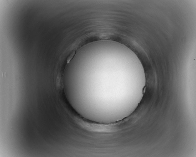 X0000099580044200805301608