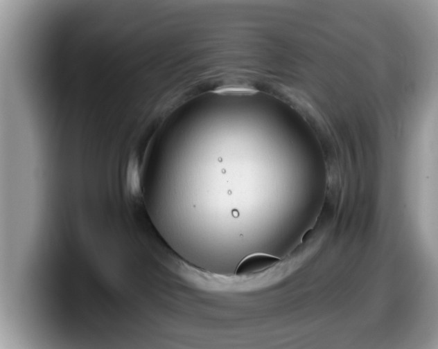 X0000099580046200805301608