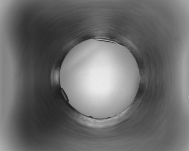 X0000099580047200805301608