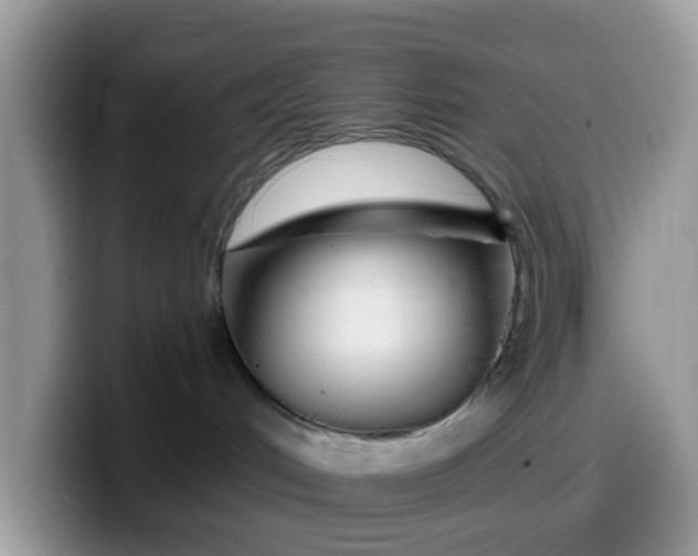 X0000099580048200805301608