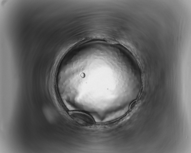 X0000099580049200805301607