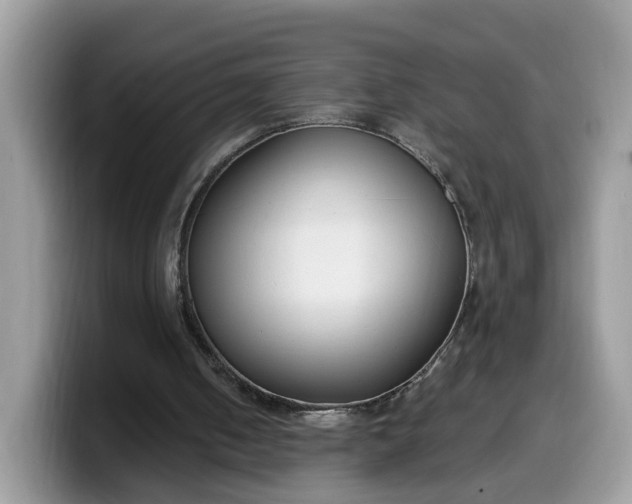 X0000099580050200805301607