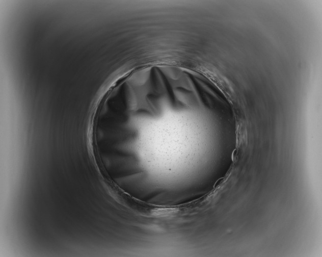 X0000099580051200805301607