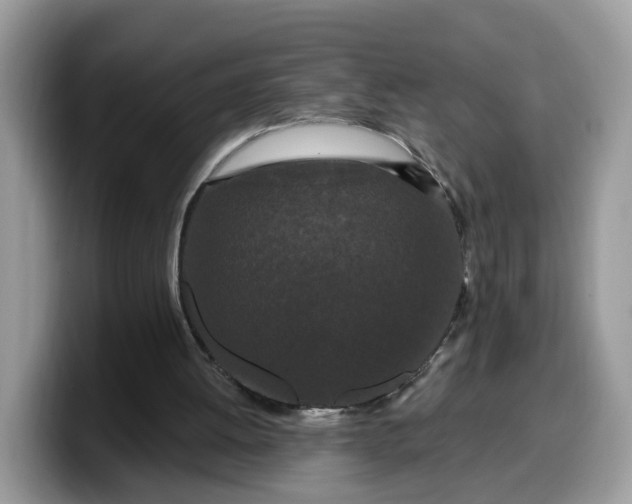 X0000099580052200805301607