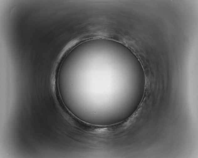 X0000099580054200805301607