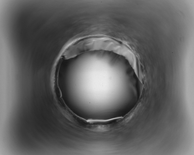 X0000099580056200805301607