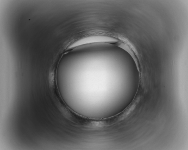 X0000099580057200805301607