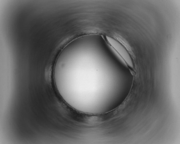 X0000099580058200805301607