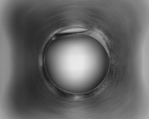 X0000099580060200805301607