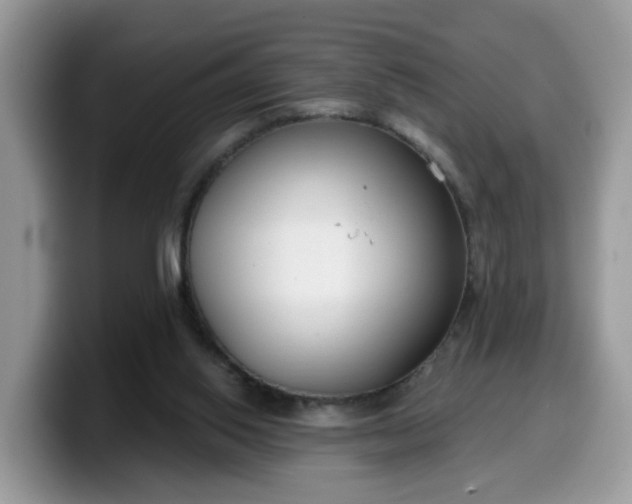 X0000099580062200805301607