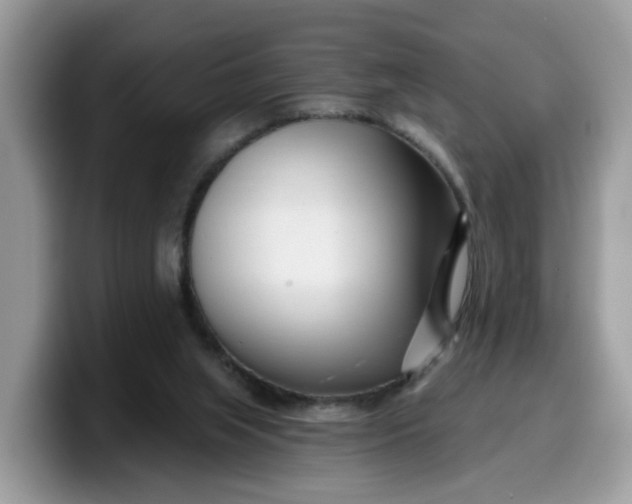 X0000099580063200805301607