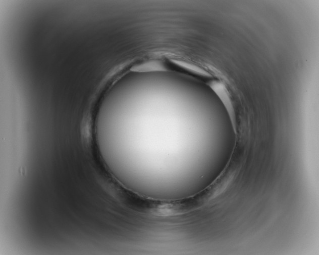 X0000099580064200805301607