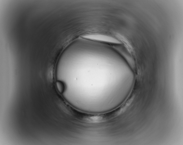 X0000099580065200805301607