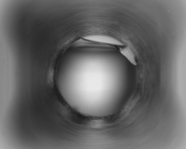 X0000099580066200805301607