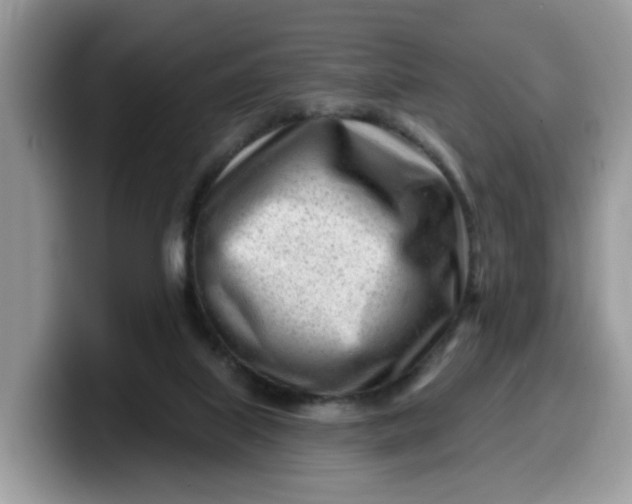 X0000099580067200805301607