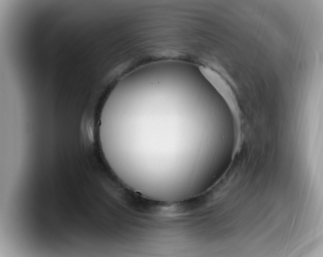 X0000099580068200805301607