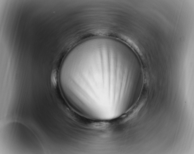 X0000099580069200805301607