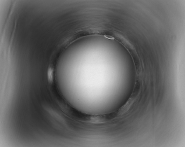 X0000099580070200805301607