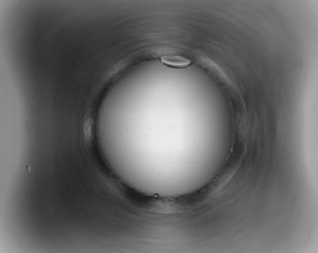 X0000099580071200805301607