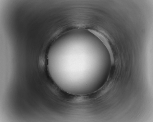 X0000099580072200805301607