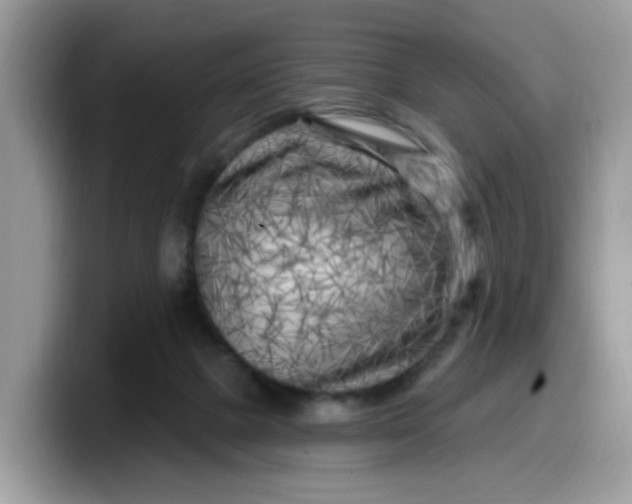 X0000099580073200805301607