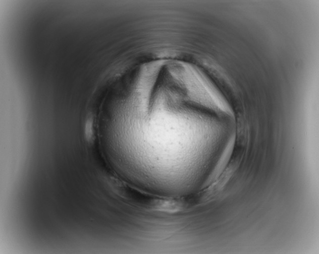 X0000099580074200805301607