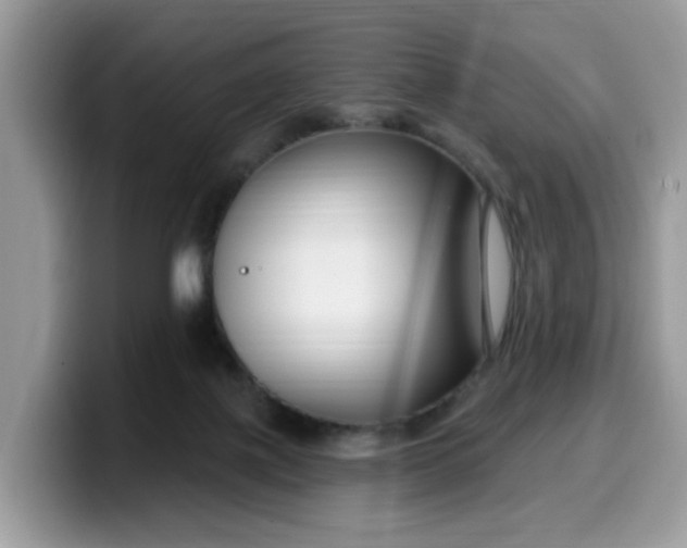 X0000099580075200805301607