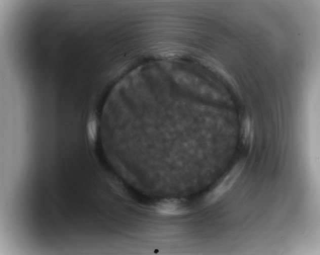 X0000099580076200805301607