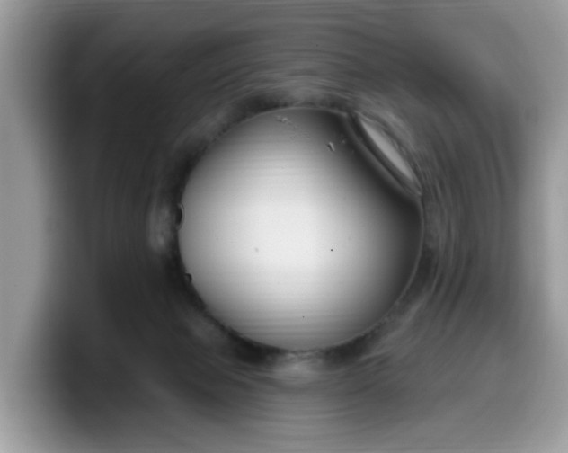 X0000099580077200805301607