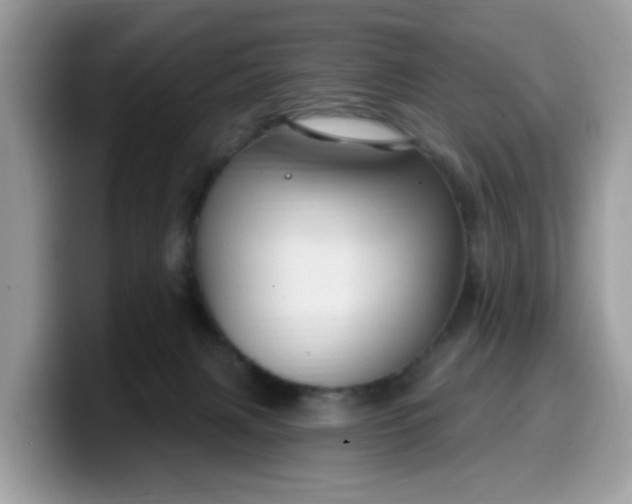 X0000099580079200805301607