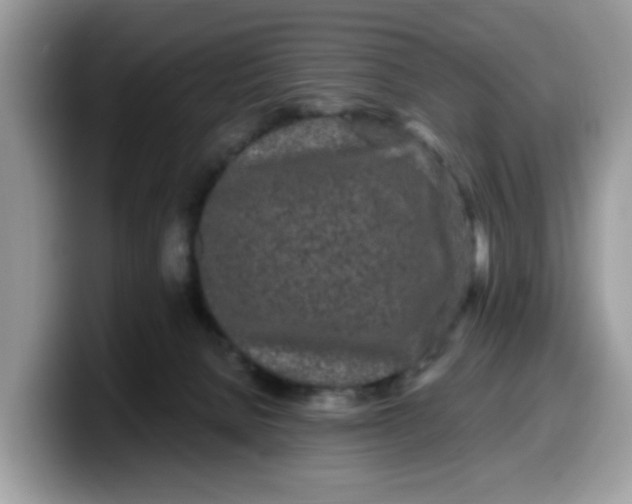 X0000099580080200805301607